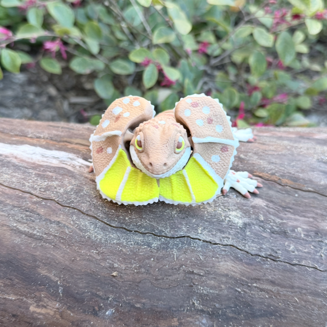 Frilled-Neck Lizard Toy & Fidget