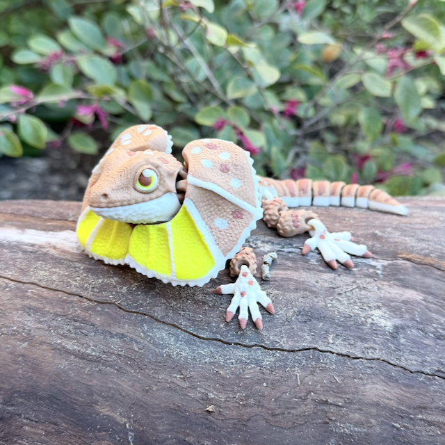 Frilled-Neck Lizard Toy & Fidget