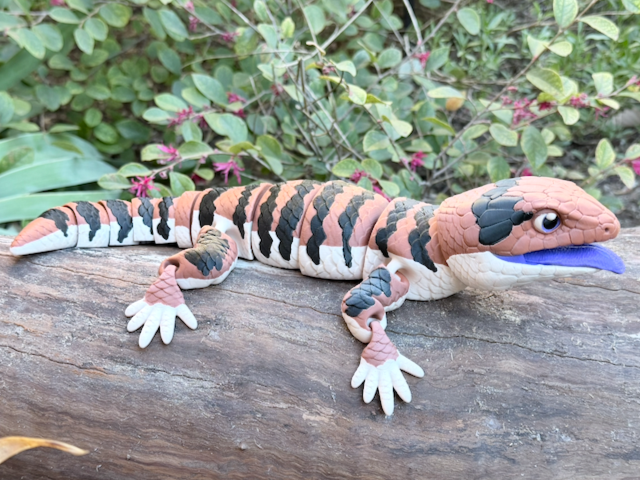 Blue-Tongued Skink