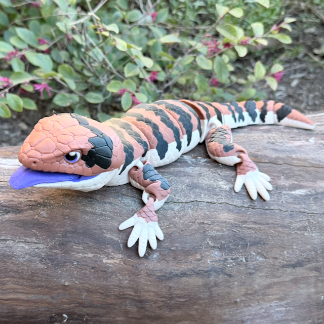 Blue-Tongued Skink